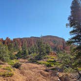 Review photo of Navajo Lake Campground by Light Backpack S., November 1, 2020