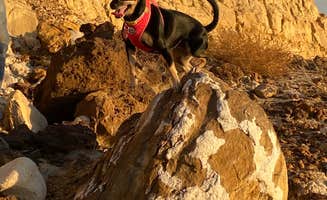 Shannon G.'s photo of camping with pets at Big Bluestem Hell Creek Area Campground — Wilson State Park near Salina, KS