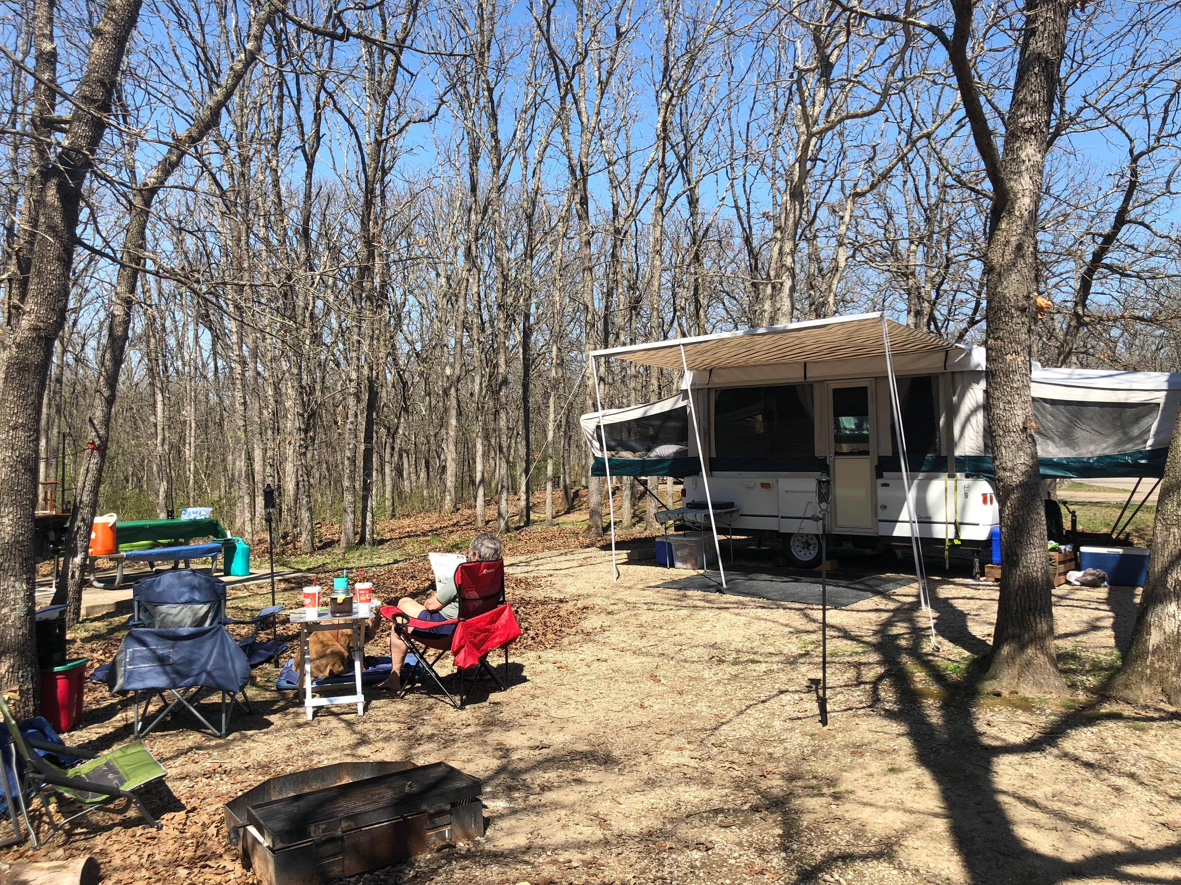 Camper submitted image from Knob Noster State Park Campground - 5