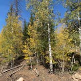 Review photo of Navajo Lake Campground by Light Backpack S., November 1, 2020