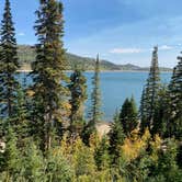 Review photo of Navajo Lake Campground by Light Backpack S., November 1, 2020