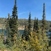 Review photo of Navajo Lake Campground by Light Backpack S., November 1, 2020