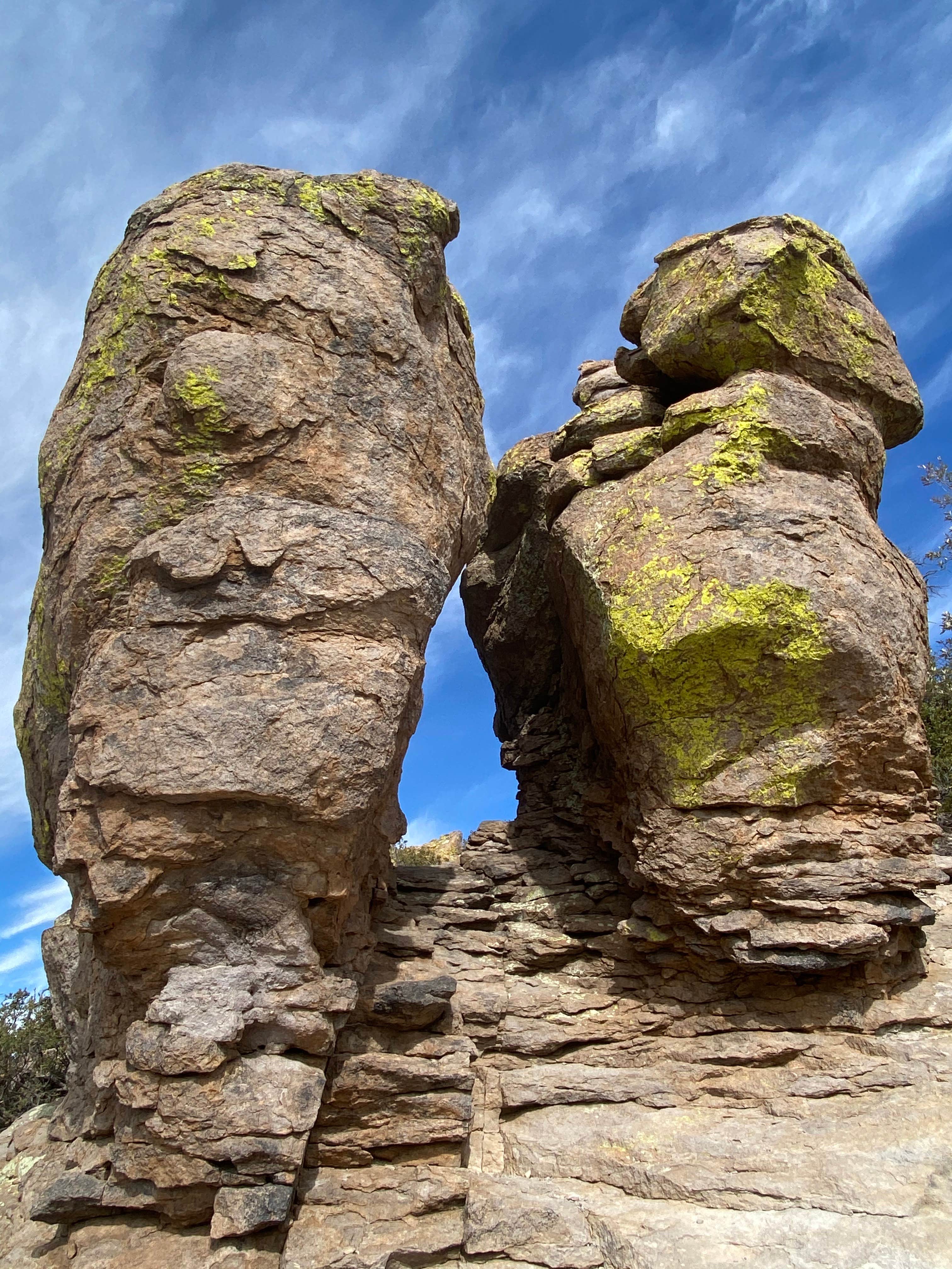Camper-submitted photo at Bonita Canyon Campground — Chiricahua National Monument near Rodeo, NM