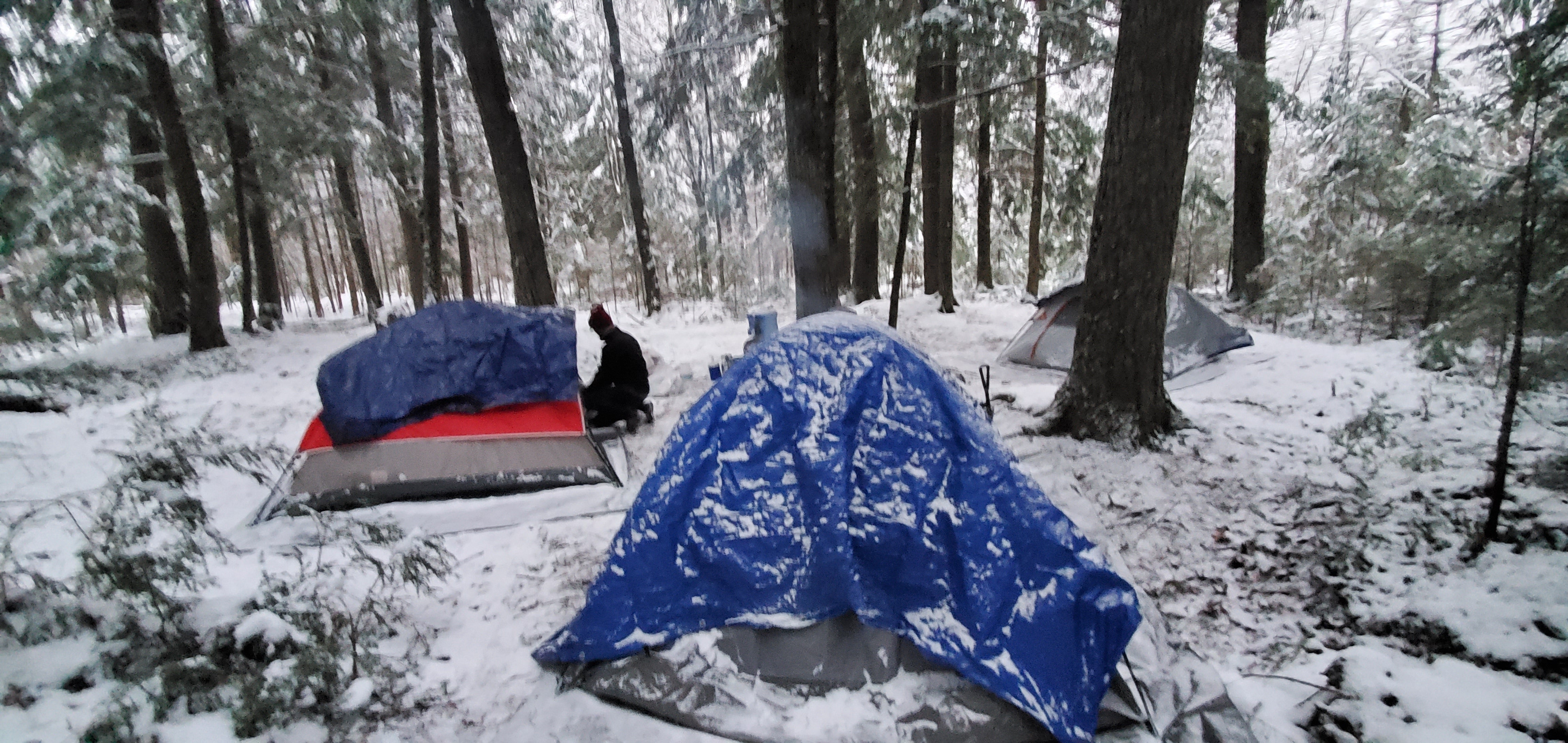 Camper submitted image from Black Lake NF Campground - 4