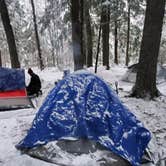 Review photo of Black Lake NF Campground by Joshua S., November 1, 2020