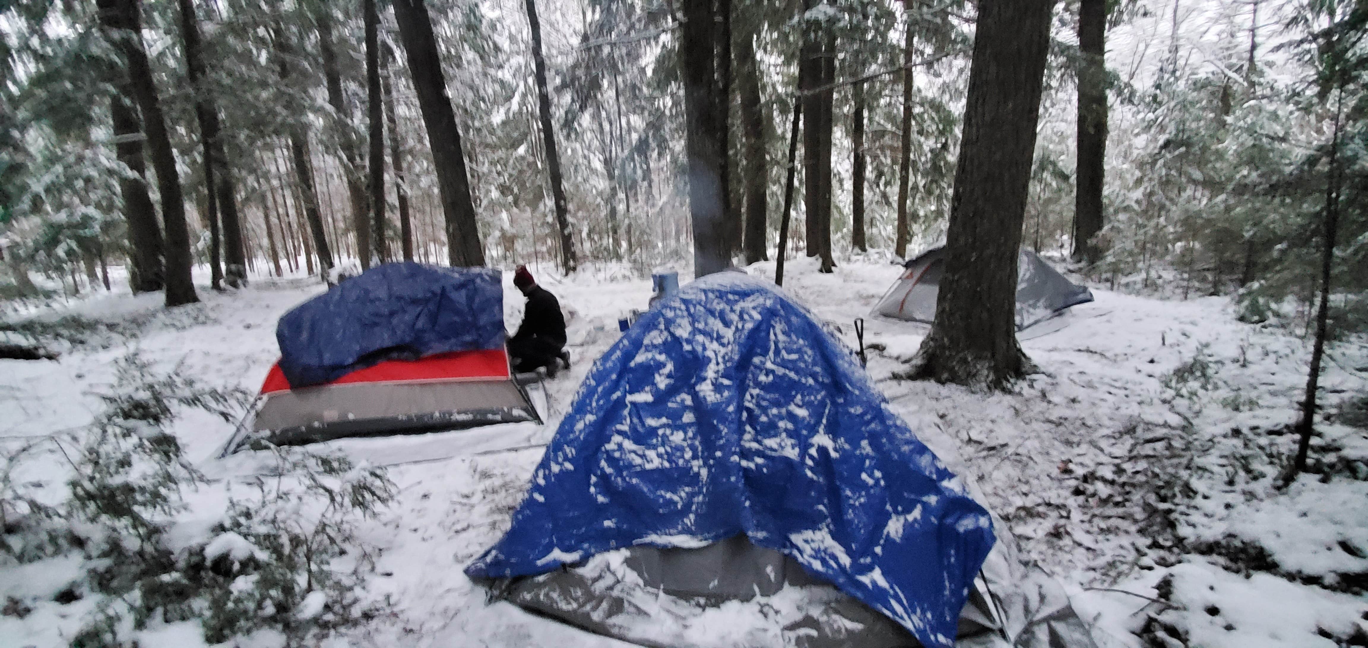 Camper submitted image from Black Lake NF Campground - 4