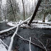 Review photo of Black Lake NF Campground by Joshua S., November 1, 2020