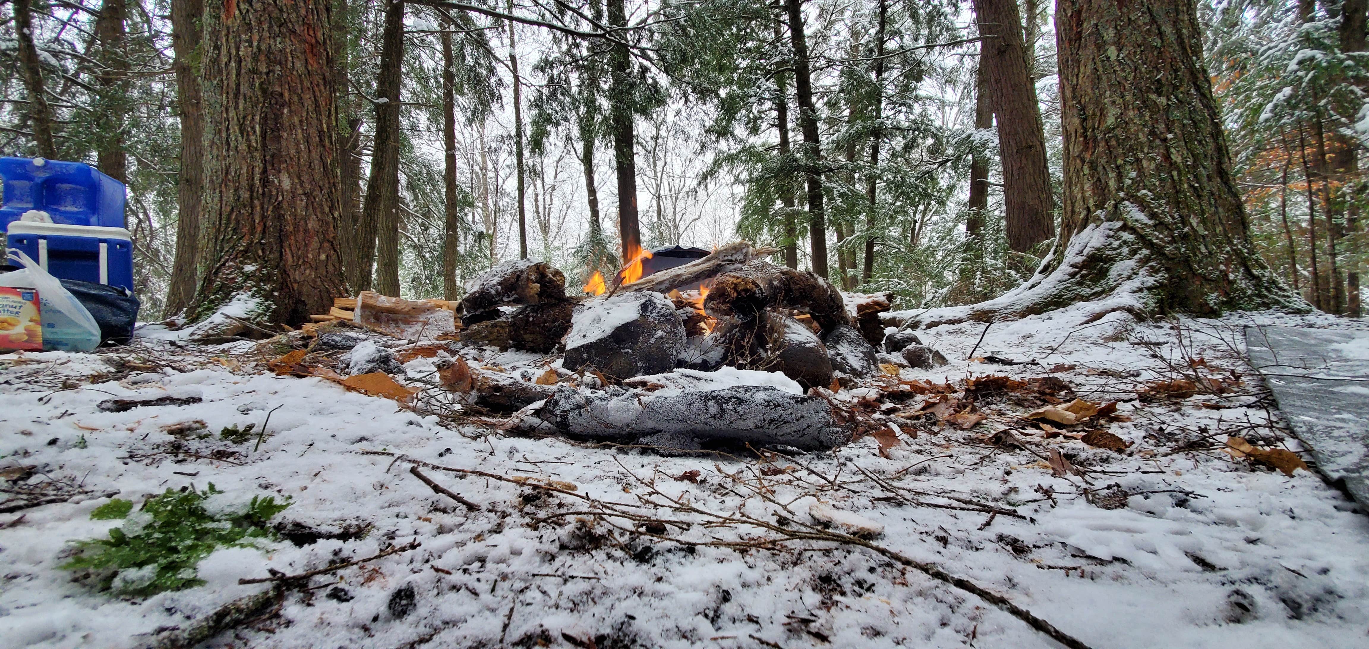 Camper submitted image from Black Lake NF Campground - 2