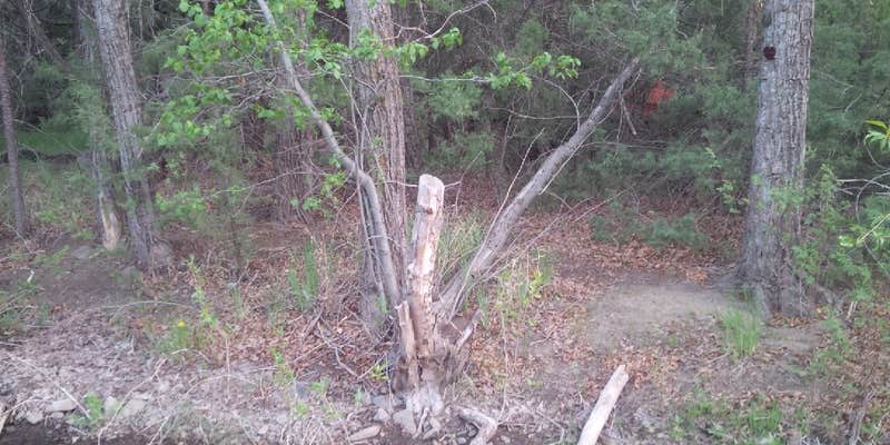 Camper submitted image from Field Tract Campground