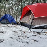 Review photo of Black Lake NF Campground by Joshua S., November 1, 2020