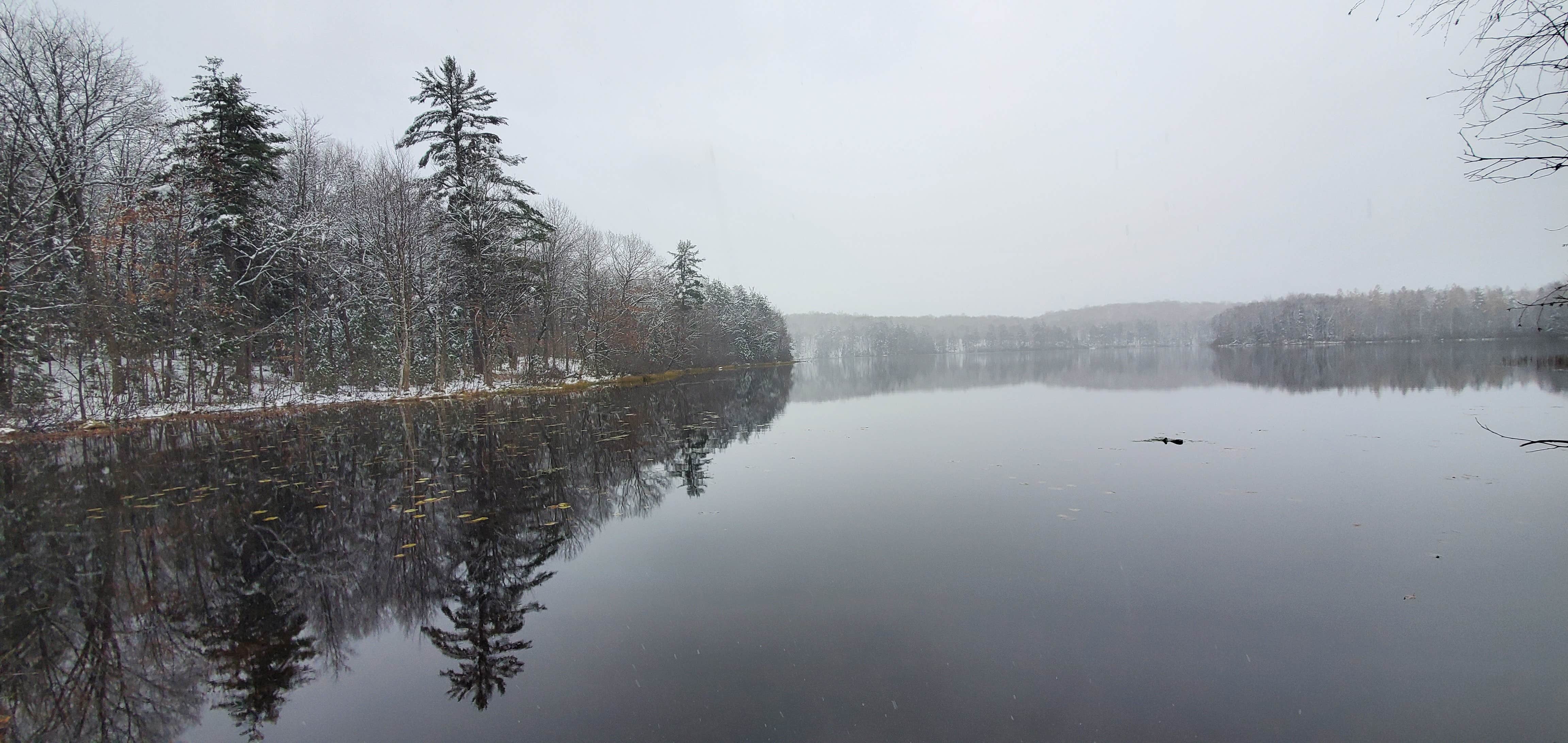 Camper submitted image from Black Lake NF Campground - 5