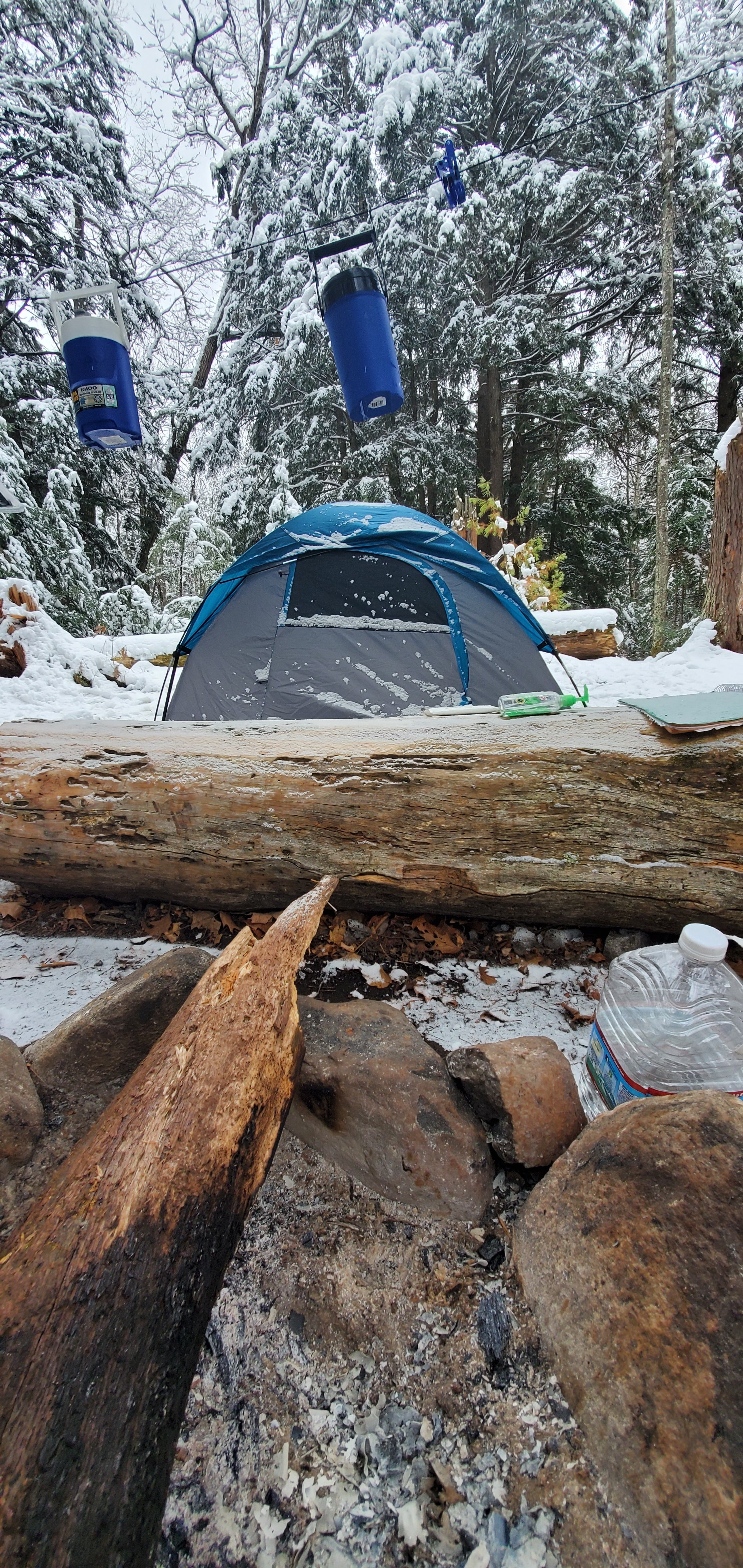 Camper submitted image from Black Lake NF Campground - 1