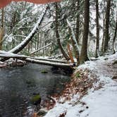 Review photo of Black Lake NF Campground by Joshua S., November 1, 2020