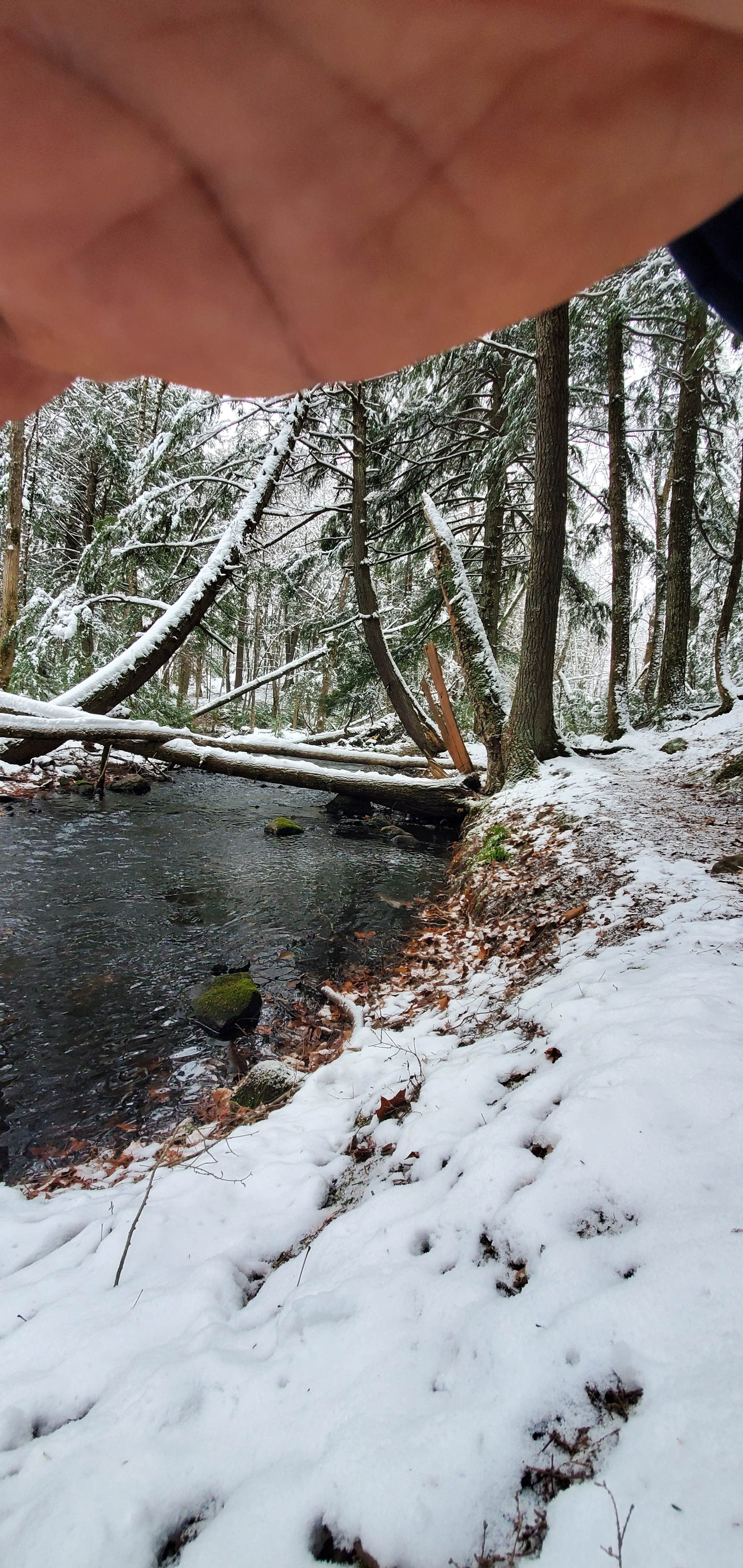 Camper submitted image from Black Lake NF Campground - 5