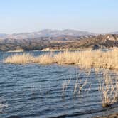 Review photo of Cachuma Lake Recreation Area by Bower , November 1, 2020