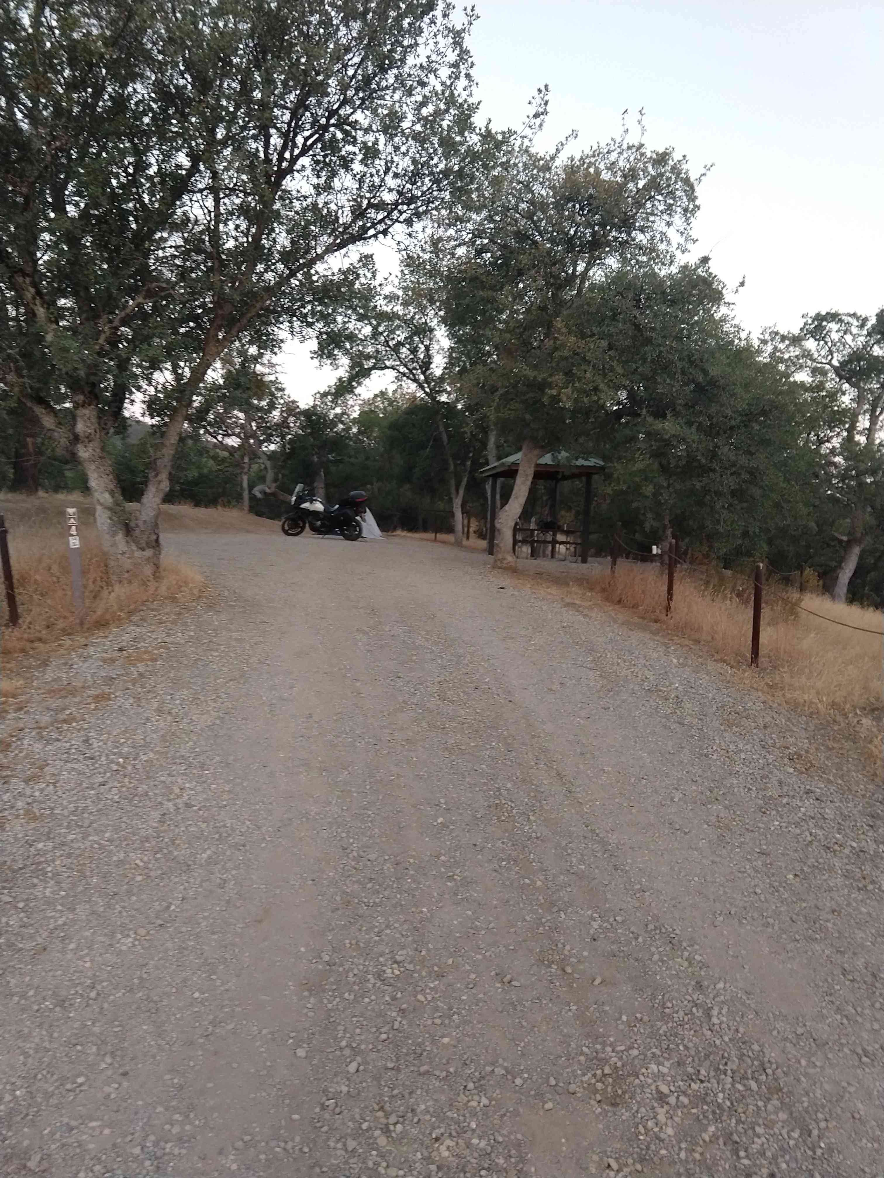 Camping near Almond Tree Oasis RV Park: Condon Peak Campground, San Lucas, California