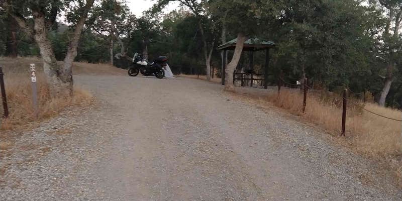 Camper submitted image from Condon Peak Campground