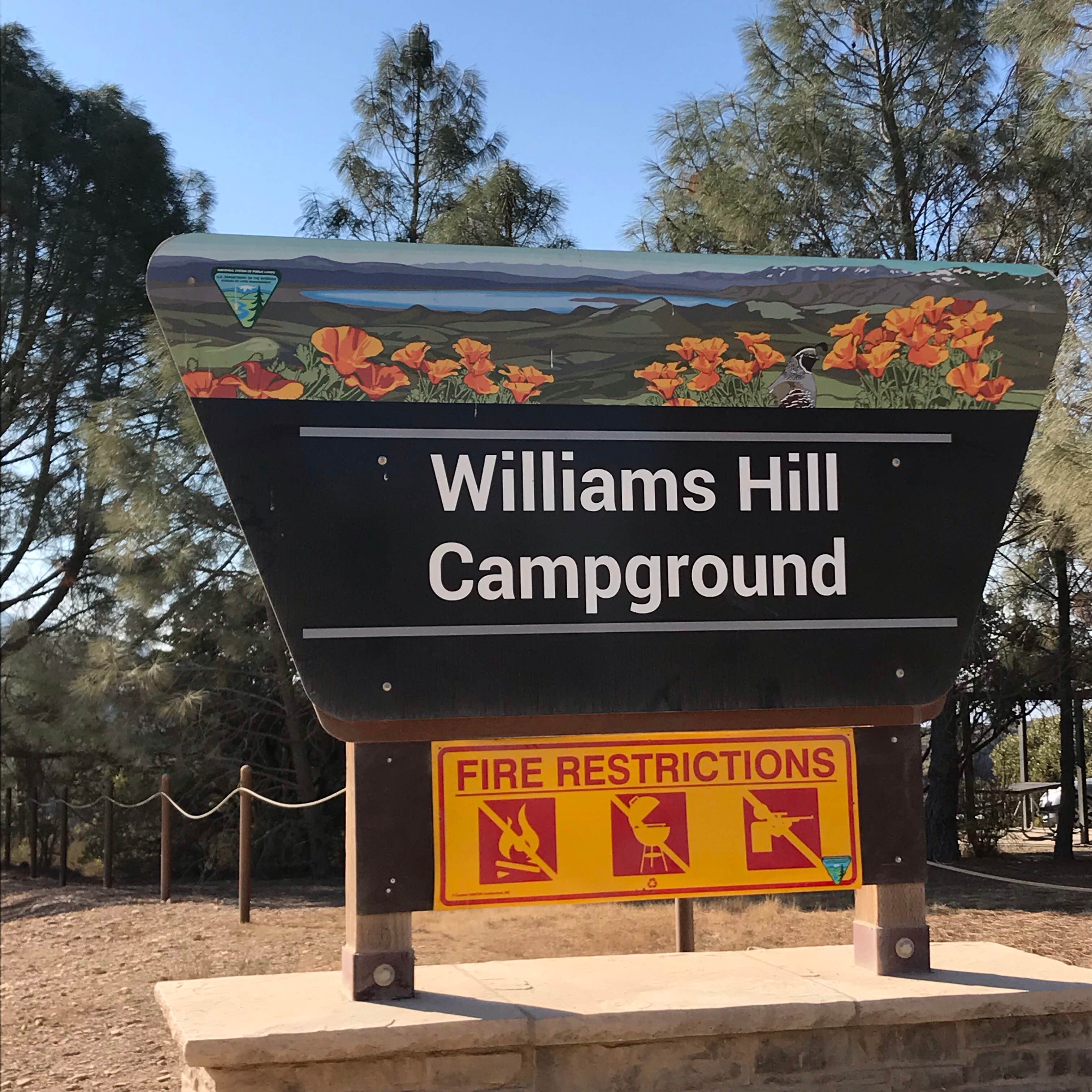 Camper submitted image from Williams Hill Recreation Area - 5