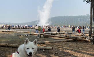 Jade G.'s photo of camping with pets at Gros Ventre Campground — Grand Teton National Park near Moose, WY