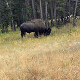 Review photo of Gros Ventre Campground — Grand Teton National Park by Jade G., October 4, 2020