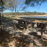 Review photo of Beach Point - Sardis Lake by Steve G., November 1, 2020