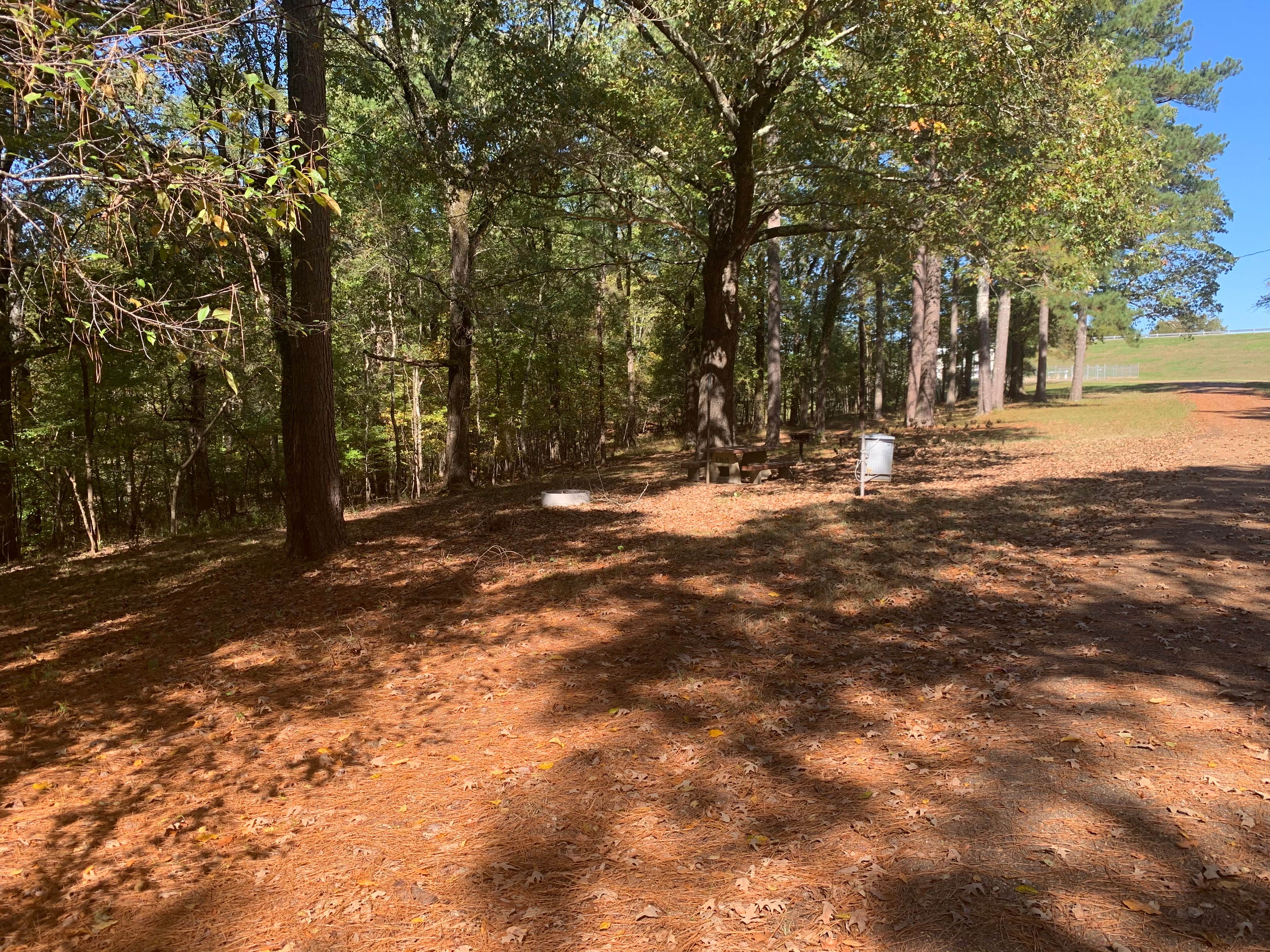 Camper-submitted photo at Elmers Hill near Sardis, MS