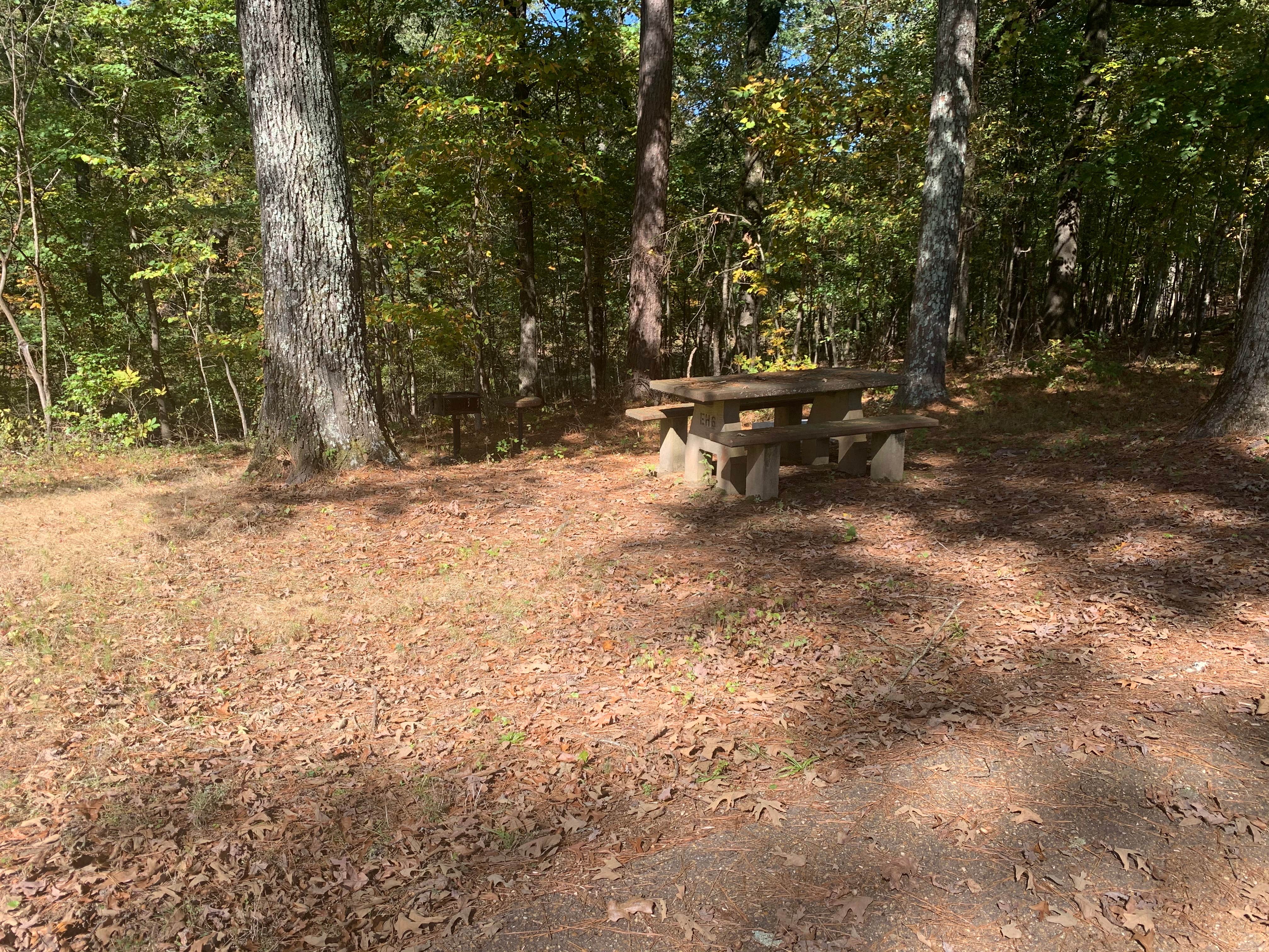 Camper-submitted photo at Elmers Hill near Sardis, MS