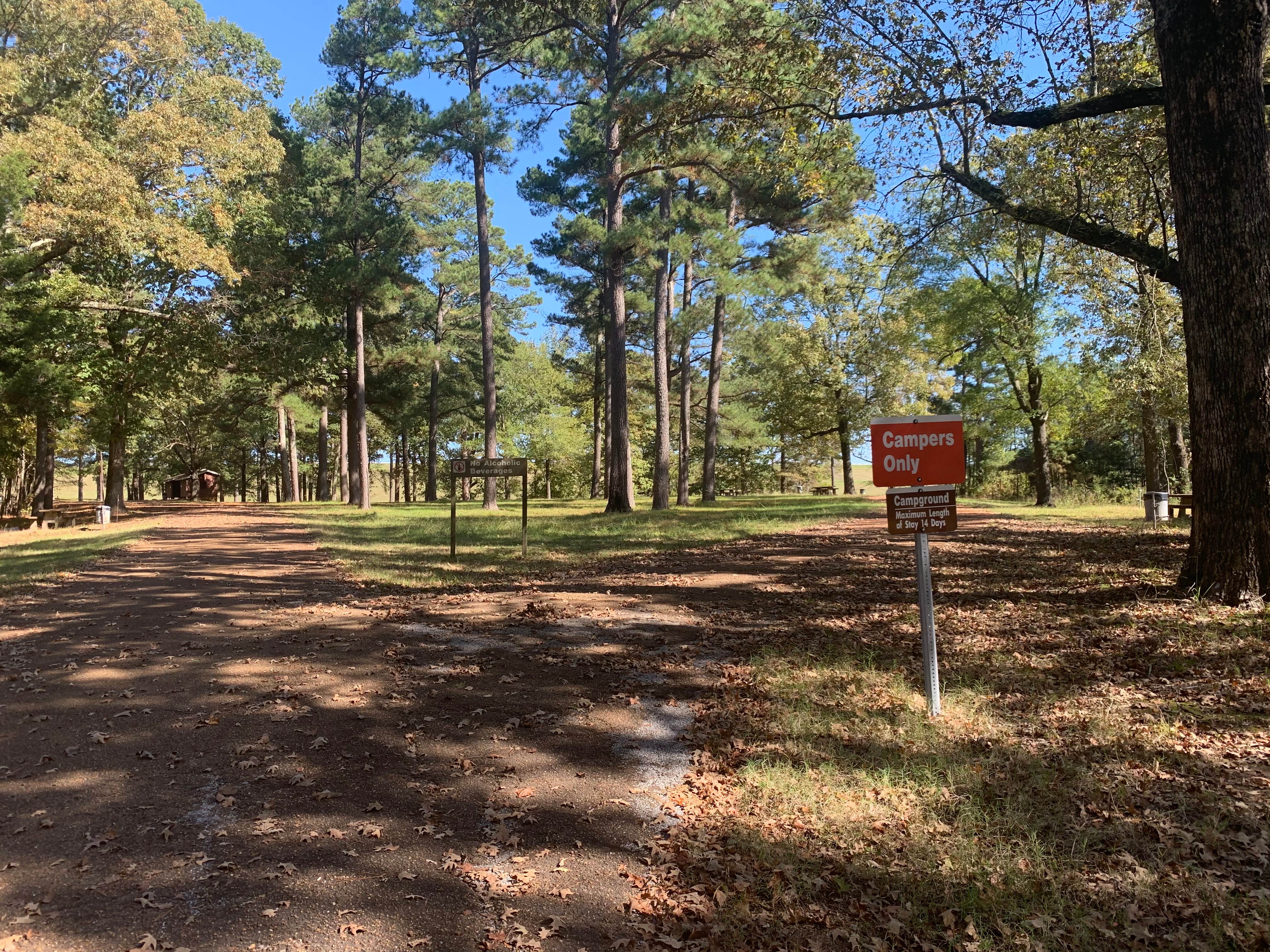 Camper-submitted photo at Elmers Hill near Sardis, MS