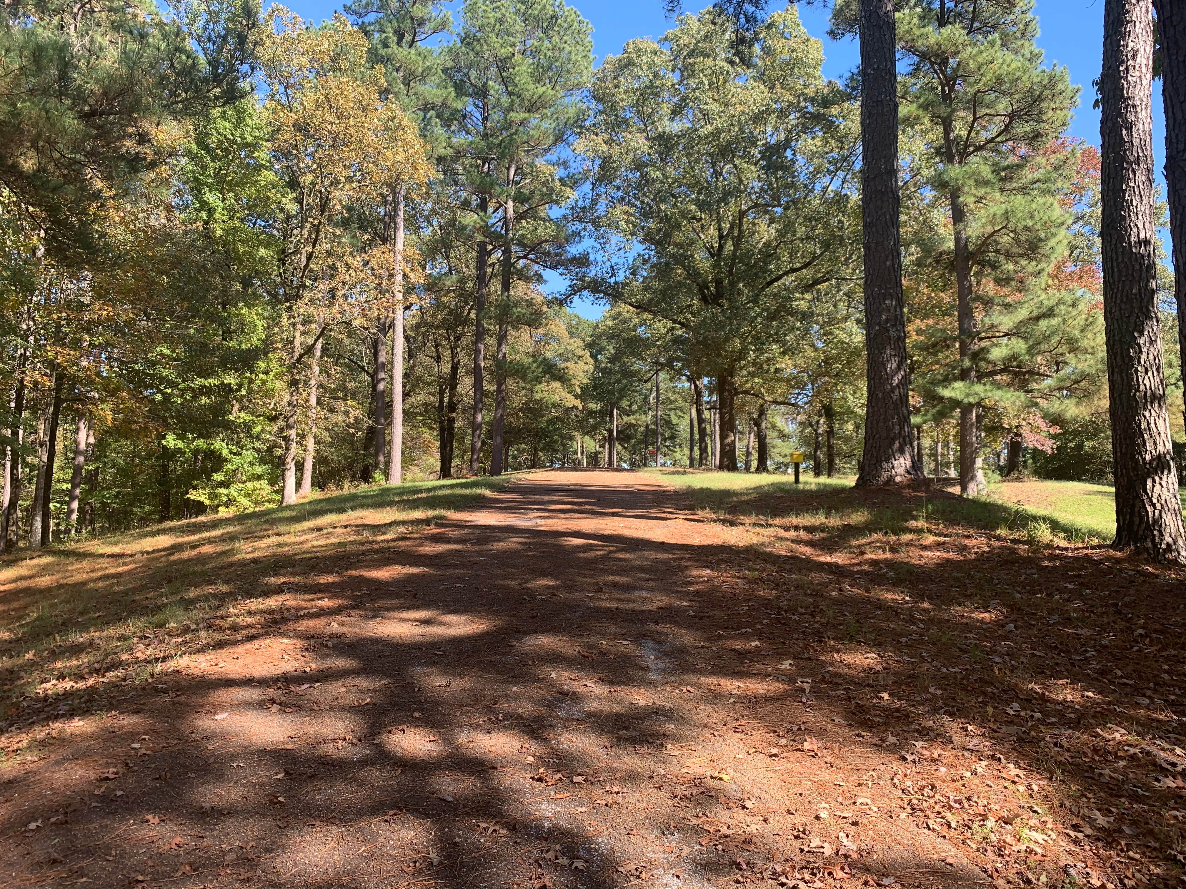 Camper-submitted photo at Elmers Hill near Sardis, MS