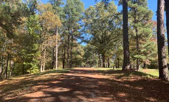Camping near Wallace Creek: Elmers Hill, Sardis, Mississippi