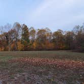 Review photo of Horine Reservation Camping at Jefferson County Memorial Forest by Joshua S., November 1, 2020