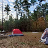 Review photo of Horine Reservation Camping at Jefferson County Memorial Forest by Joshua S., November 1, 2020