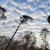 Review photo of Horine Reservation Camping at Jefferson County Memorial Forest by Joshua S., November 1, 2020