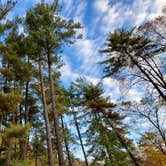 Review photo of Horine Reservation Camping at Jefferson County Memorial Forest by Joshua S., November 1, 2020