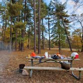 Review photo of Horine Reservation Camping at Jefferson County Memorial Forest by Joshua S., November 1, 2020