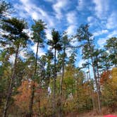 Review photo of Horine Reservation Camping at Jefferson County Memorial Forest by Joshua S., November 1, 2020