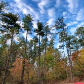 Review photo of Horine Reservation Camping at Jefferson County Memorial Forest  by Joshua S., November 1, 2020