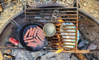 Joshua S.'s photo of camping with pets at Horine Reservation Camping at Jefferson County Memorial Forest near Fairdale, KY