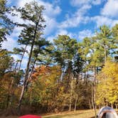 Review photo of Horine Reservation Camping at Jefferson County Memorial Forest by Joshua S., November 1, 2020