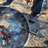 Review photo of Horine Reservation Camping at Jefferson County Memorial Forest by Joshua S., November 1, 2020