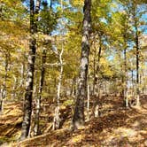 Review photo of Horine Reservation Camping at Jefferson County Memorial Forest by Joshua S., November 1, 2020