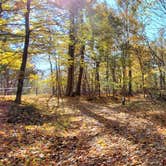 Review photo of Horine Reservation Camping at Jefferson County Memorial Forest by Joshua S., November 1, 2020