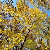 Review photo of Horine Reservation Camping at Jefferson County Memorial Forest by Joshua S., November 1, 2020