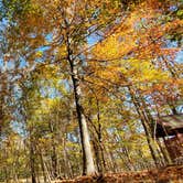 Review photo of Horine Reservation Camping at Jefferson County Memorial Forest by Joshua S., November 1, 2020