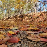 Review photo of Horine Reservation Camping at Jefferson County Memorial Forest by Joshua S., November 1, 2020