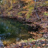 Review photo of Horine Reservation Camping at Jefferson County Memorial Forest by Joshua S., November 1, 2020