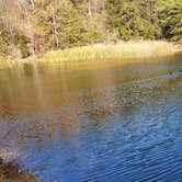 Review photo of Horine Reservation Camping at Jefferson County Memorial Forest by Joshua S., November 1, 2020