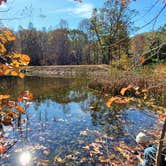 Review photo of Horine Reservation Camping at Jefferson County Memorial Forest by Joshua S., November 1, 2020