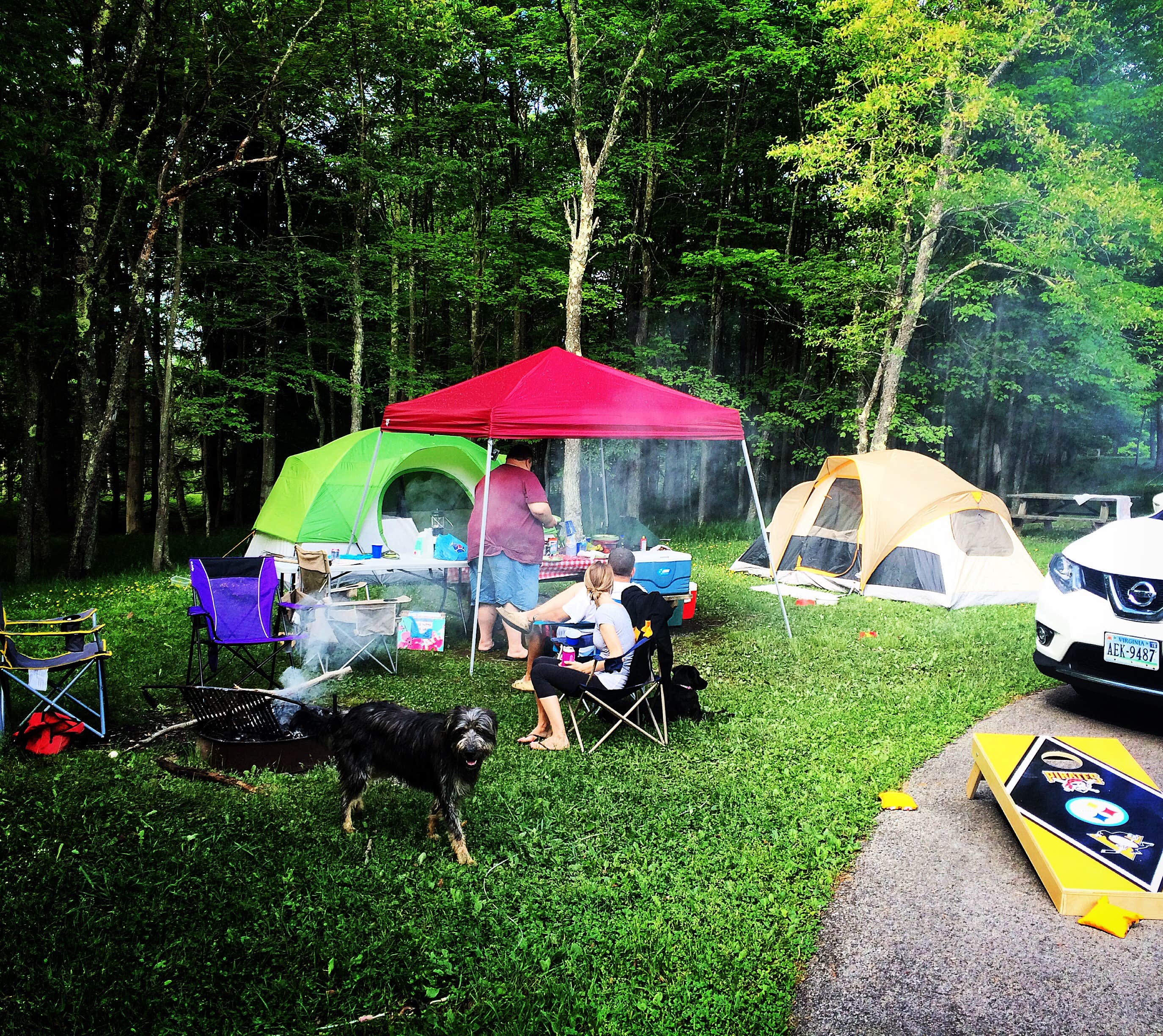 Camper submitted image from Blackwater Falls State Park Campground - 5