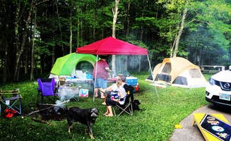 Diane D.'s photo at Blackwater Falls State Park Campground near Dryfork, WV